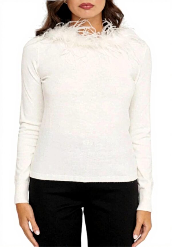 Twinset Maglione Girocollo Dettagli Piuma Donna